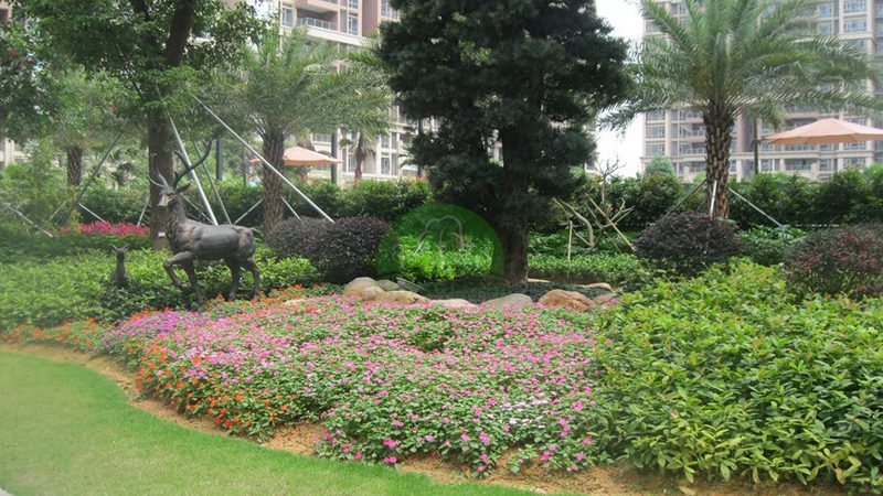 植物墙项目落地前，这五个认知偏差最容易被忽略