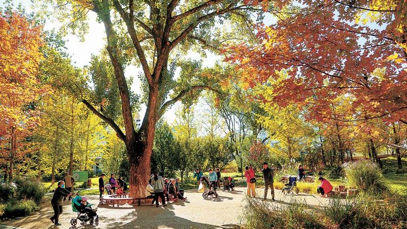 学校绿化种植土回填，报价如何确定？**
