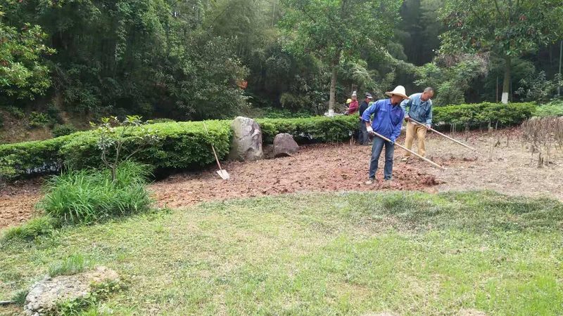 假山鱼池从设计到落地，这五个环节最容易出问题