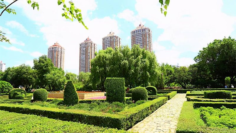 屋顶绿化植物规格参数：关键指标与选型逻辑**