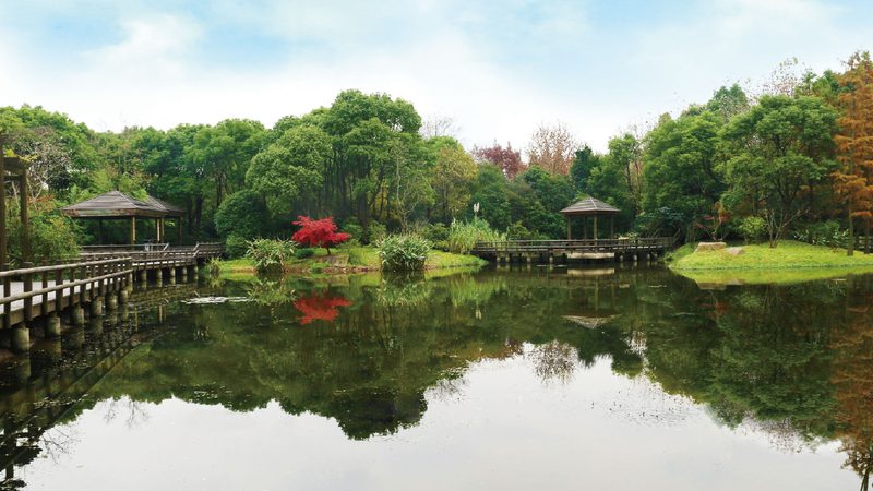 购物中心屋顶花园，报价方案如何制定？**