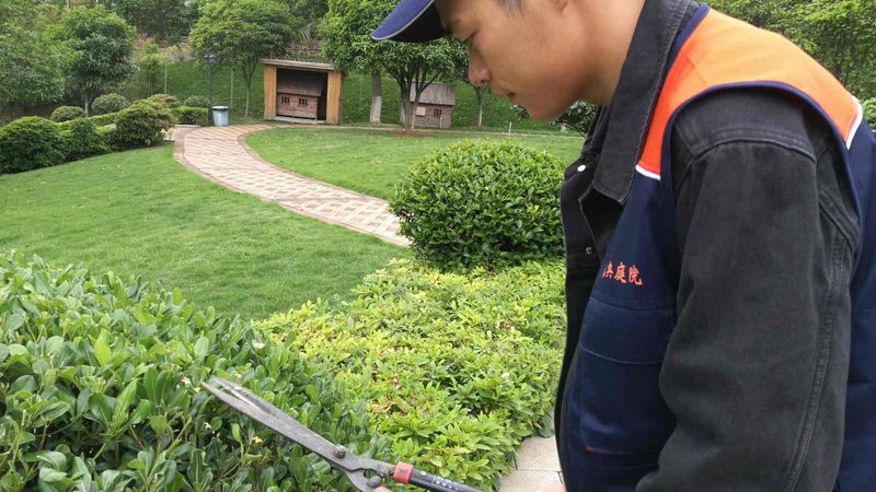 公园景观设计施工一体化报价：揭秘一体化优势与考量因素