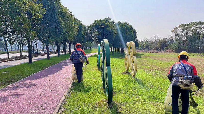 成都绿化养护药剂：如何选择合适的药剂保障绿化效果**