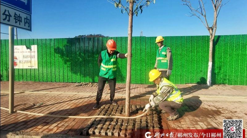 高尔夫球场草坪铺设成本解析：影响因素与预算考量