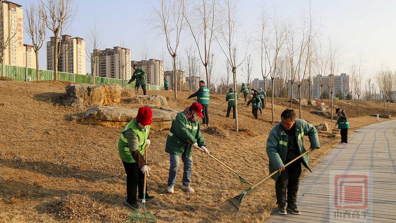 苗木种植技术视频教程：揭秘专业施工流程