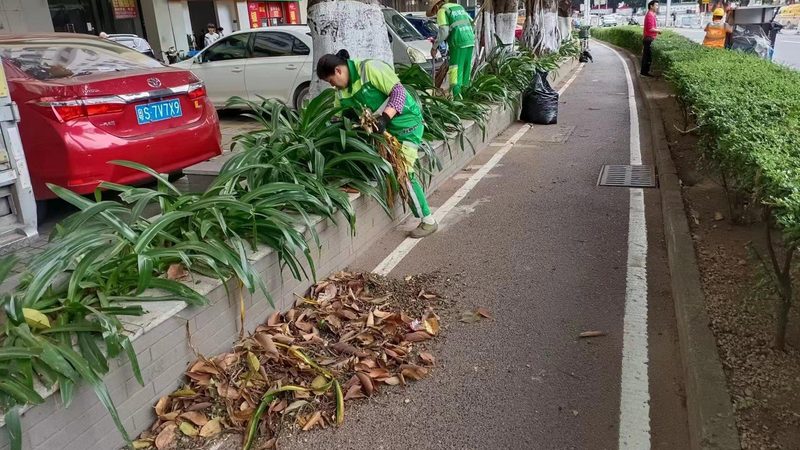 家庭屋顶绿化，成本预算如何控制？**