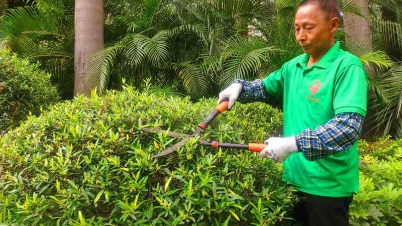 屋顶绿化加盟代理合同模板：关键条款解析与注意事项**
