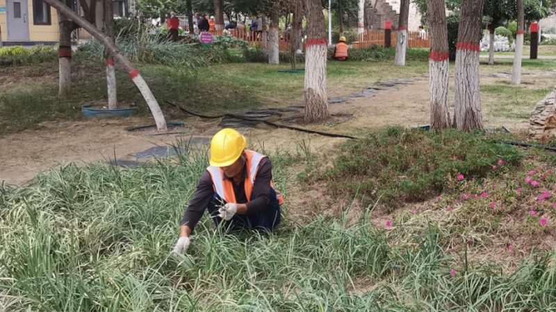 成都新中式庭院设计施工流程全解析