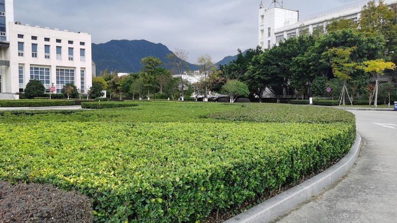 屋顶绿化每平米价格之谜：揭秘影响价格的关键因素