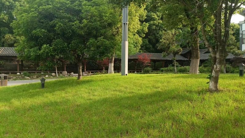 园林绿化与道路绿化：两者的区别与选择
