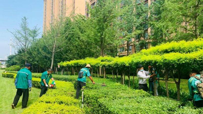 成都花园设计：别墅定制中的生态美学考量**